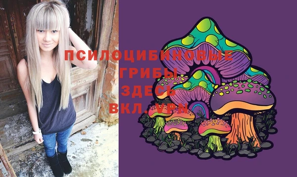 хмурый Балахна