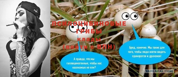 ПСИЛОЦИБИНОВЫЕ ГРИБЫ Баксан
