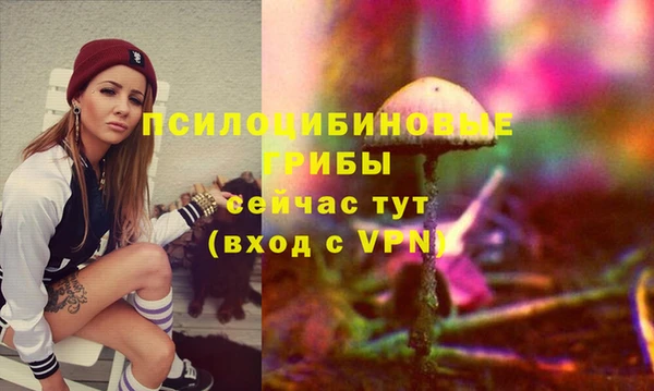 ПСИЛОЦИБИНОВЫЕ ГРИБЫ Баксан
