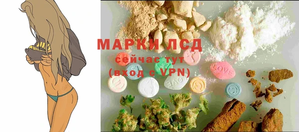 ПСИЛОЦИБИНОВЫЕ ГРИБЫ Баксан