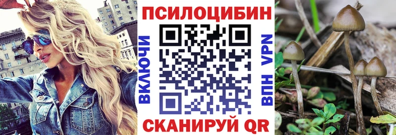 Галлюциногенные грибы мицелий  что такое наркотик  Улан-Удэ 