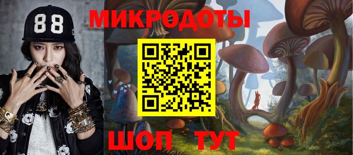 Галлюциногенные грибы Psilocybe  Псилоцибиновые грибы Psilocybe  Улан-Удэ  Вход с VPN 